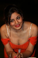 Shilpi Sharma Spicy Photos